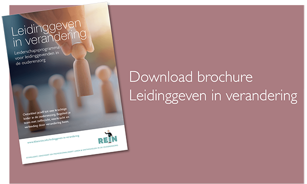 Brochure Leidinggeven in vernadering